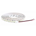 LED 24V